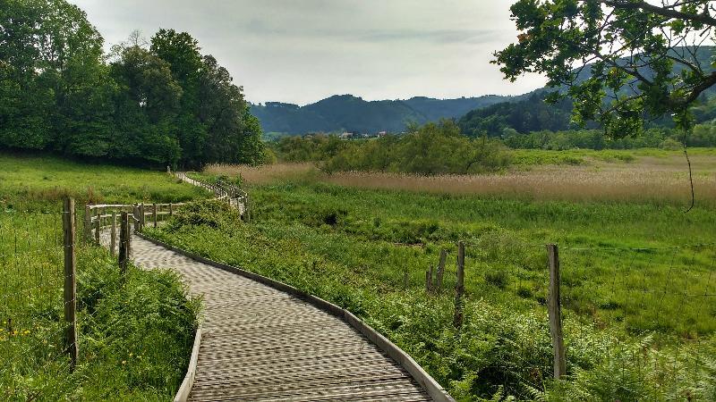 Casa Rural Arboliz Ibarrangelu Zewnętrze zdjęcie