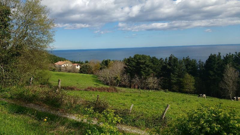 Casa Rural Arboliz Ibarrangelu Zewnętrze zdjęcie