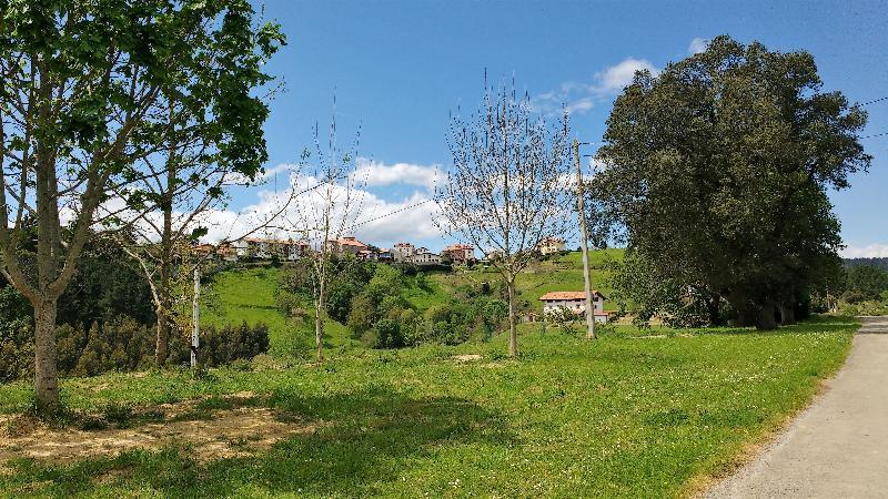 Casa Rural Arboliz Ibarrangelu Zewnętrze zdjęcie