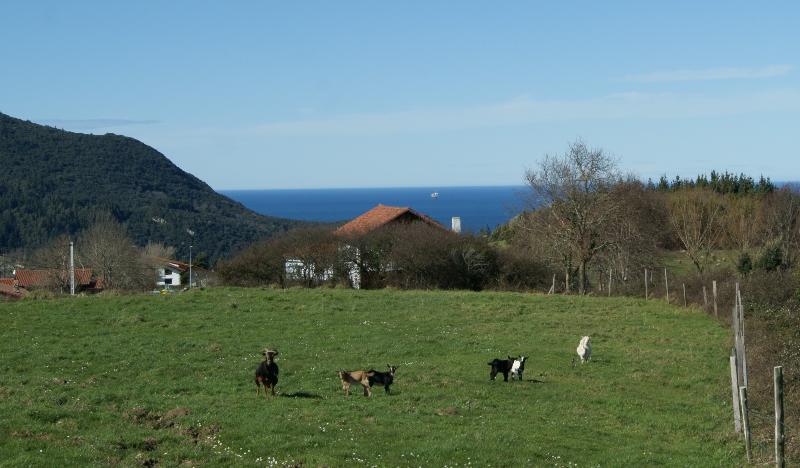 Casa Rural Arboliz Ibarrangelu Zewnętrze zdjęcie